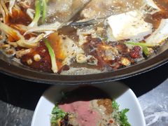 -肥鱼屯活鱼锅(惠工街店)