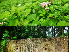 -巍山古城