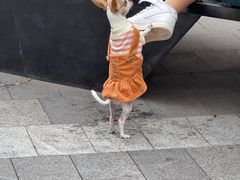 -满园烤鸭·春饼(丰科路万达店)