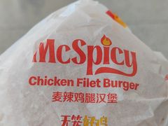 -麦当劳(鄂尔多斯机场店)