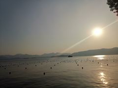 -西湖外事游船(花港观鱼码头)