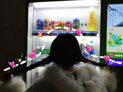 -大斌家串串火锅(德思勤店)