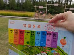 -前小桔亲子创意农场·草莓采摘·露营烧烤