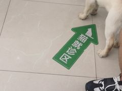 -爱侣宠医·鹦鹉专科·小型哺乳类·异宠专科(灵石路店)