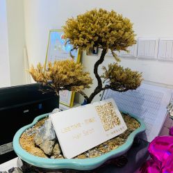 -LEE TIME·丽美时沙龙