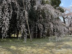 -醍醐寺