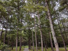 -长春市南湖公园