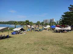 -仙湖旅游度假区