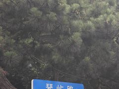 -青岛海滨风景区