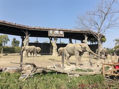 -上海野生动物园