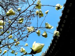 -西安市广仁寺