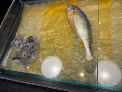 -新荣记(湾仔店)