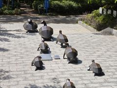-广东惠东海龟国家级自然保护区