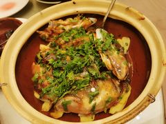 沙窝鱼头煲-沙龙酒家