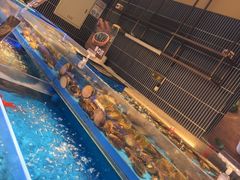 -海底捞火锅(长宁路龙之梦店)
