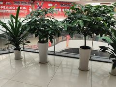 -偶屋里钵少爷(时代广场店)