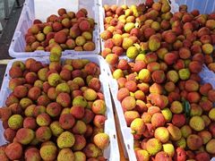 -三旗百汇商品城