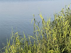 -漕湖湿地公园