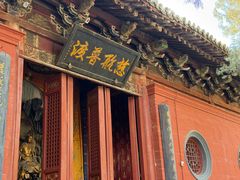 -洛阳白马寺