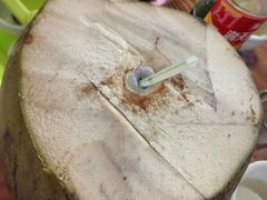 -15年老字号鑫鑫猪肚鸡·椰子鸡海南火锅(兴隆华侨农场店)