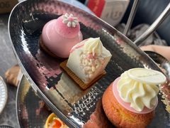 -Hi City·城市之巅