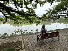 -江心屿景区