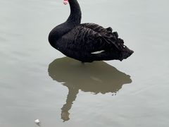 -公益图书馆(江南大学店)