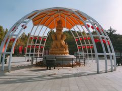 -龙口南山旅游景区