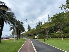 -野狸岛