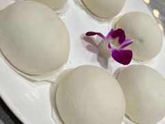 -老绍兴养和饭店(向阳不夜城店)