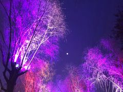 -唐城墙遗址公园