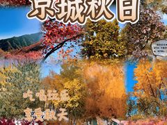 -Catail前苑(前门大街店)