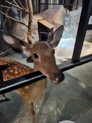 -酷嗒动物文化乐园(cutezoo西溪乐天城店)