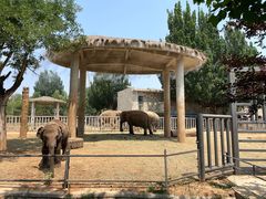 -石家庄市动物园