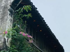 -西塘人家•黑金冠本地好店