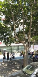 点击看大图 -大连市妇女儿童医疗中心(希望广场儿童院区)