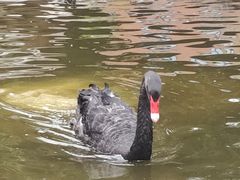 -北京市海淀外国语实验学校