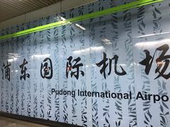 -上海浦东国际机场-T2航站楼