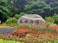 -长春净月潭风景名胜区