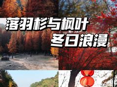 -广州市帽峰山景区