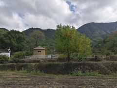 -塔川景区