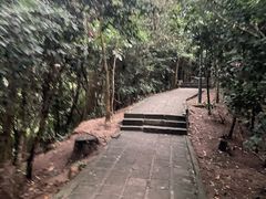 -白石龙音乐公园