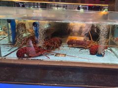 -阿伟海鲜楼·福建菜(延寿店)