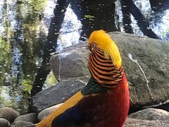 -费瑟代尔野生动物园