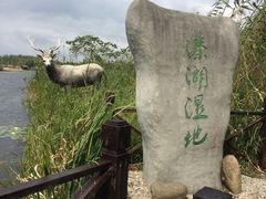 -溱湖国家湿地公园