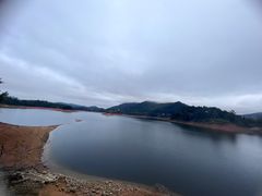 -广州市流溪河国家森林公园