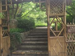 -上海市保健医疗中心