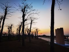 -芒洲湿地公园