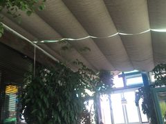 -慢丽江·云南野生菌土鸡锅(西山店)