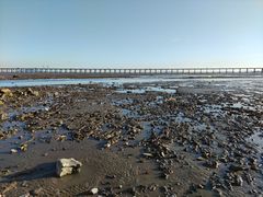 -宝安西湾红树林湿地公园